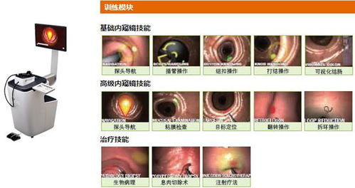 日正华瑞科技选择智邦国际erp 项目协同效率倍增